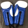 Boxing Gloves (16oz Sparring) Photo 2