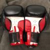 Boxing Gloves (Bag Gloves) Photo 2